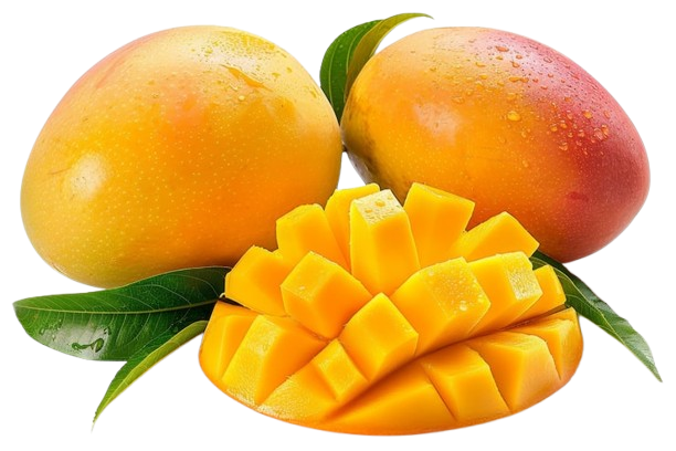 mango-still-life_23-2151542114.png